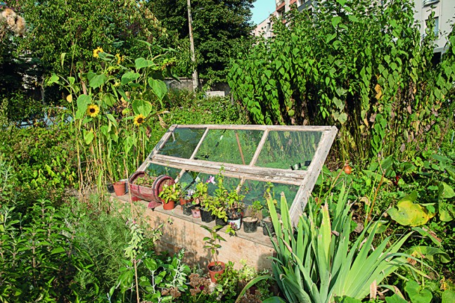 731636_Jardin ColeopTerre