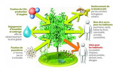 infog-avantages