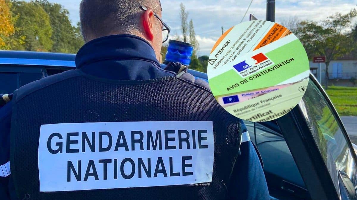 annulation du permis et 1500€ d'amende pour les conducteurs ayant acheté cet objet illégal en voiture
