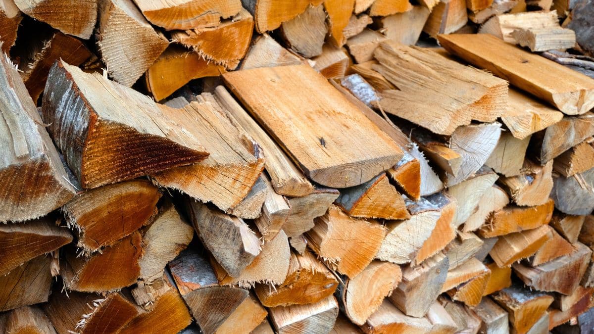 c'est officiel, il sera interdit de chauffer son logement au bois à partir de cette date (ce projet européen inquiète)