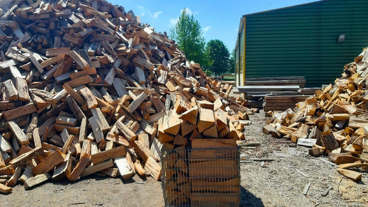 vente de bois de chauffage ce « chômeur » arrondissait ses fins de mois et a accumulé plus de 1 million de ca en moins de 5 ans