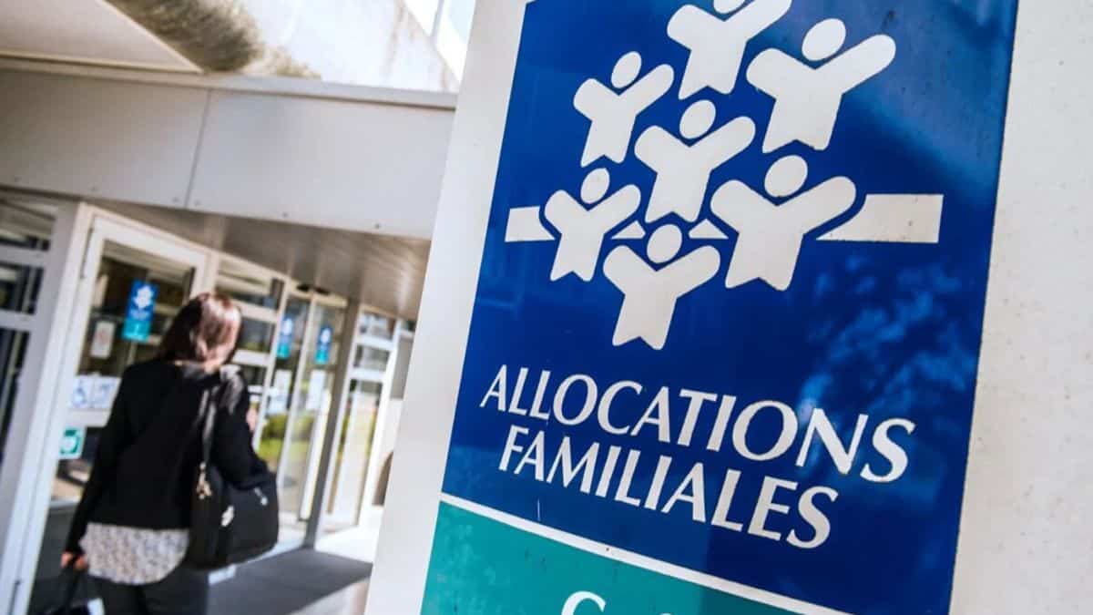 caf j'ai perdu toutes mes allocations en vendant des vêtements sur vinted et leboncoin