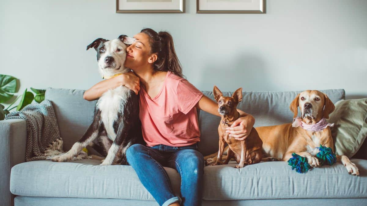 « le dressage est impossible » selon cet expert, cette race de chien est la plus difficile à éduquer